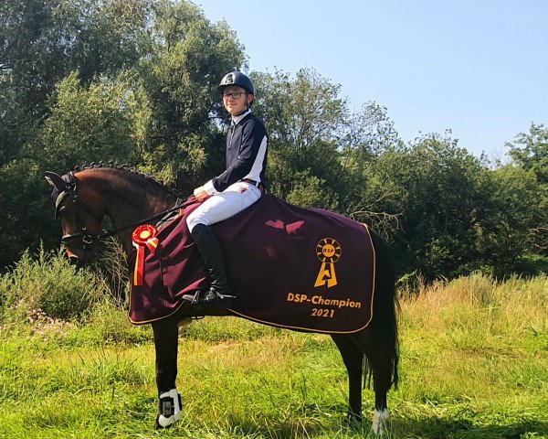 jumper PSW Pocahontas (German Riding Pony, 2016, from PSW Pitu)
