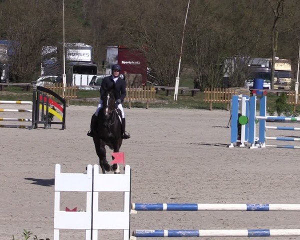 Reitturnier Pietzpuhl 2025