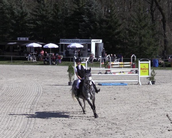 Reitturnier Pietzpuhl 2025