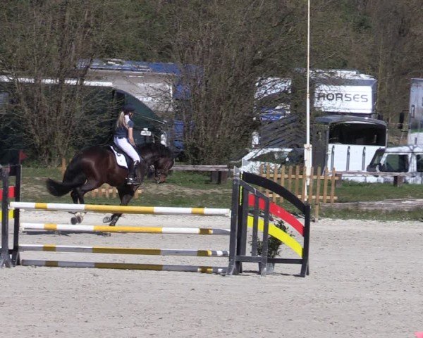 Reitturnier Pietzpuhl 2025