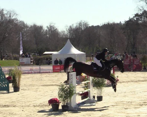 Reitturnier Westergellersen 2025