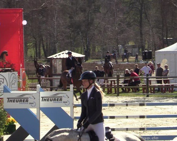 Reitturnier Westergellersen 2025