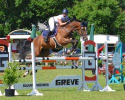 jumper Absalons Philip (Hanoverian, 2015, from Perpignon)