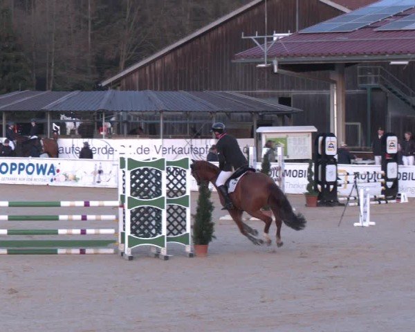 Reitturnier Ranshofen - Braunau am Inn 2025