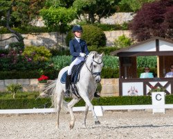 dressage horse Di Jacomo 4 (German Riding Pony, 2006, from Dein Freund)