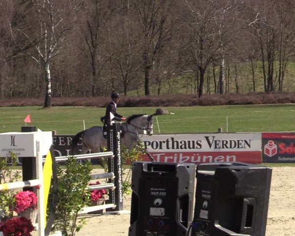 Reitturnier Westergellersen 2025