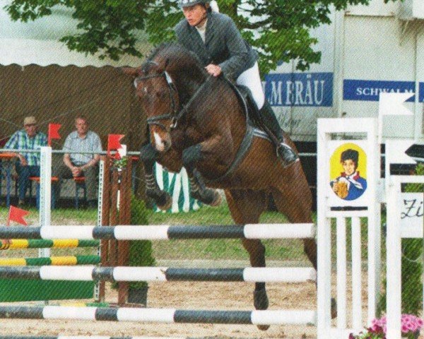 dressage horse Chitano S (Oldenburg, 2007, from Carousel)