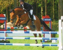 jumper Con Capital (Oldenburg show jumper, 2004, from Con Capitol)