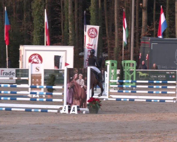 Reitturnier Ranshofen - Braunau am Inn 2025