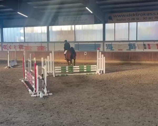 Video von Lissario