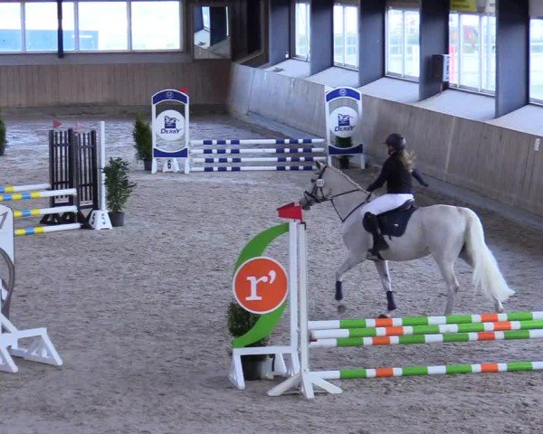 Reitturnier Niebüll 2025