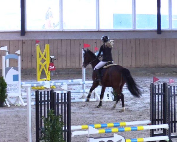 Reitturnier Niebüll 2025