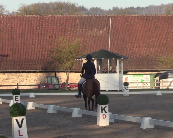 Reitturnier Balve-Wocklum 2025