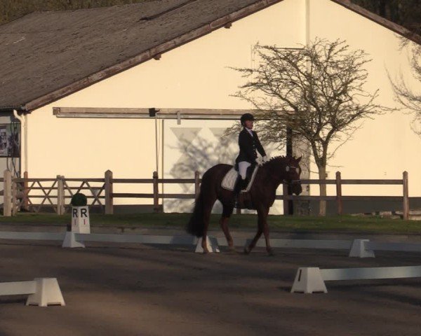 Reitturnier Balve-Wocklum 2025