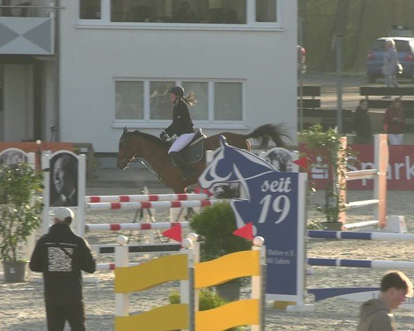 Reitturnier Balve-Wocklum 2025