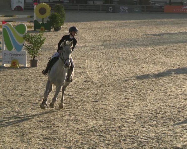 Reitturnier Balve-Wocklum 2025