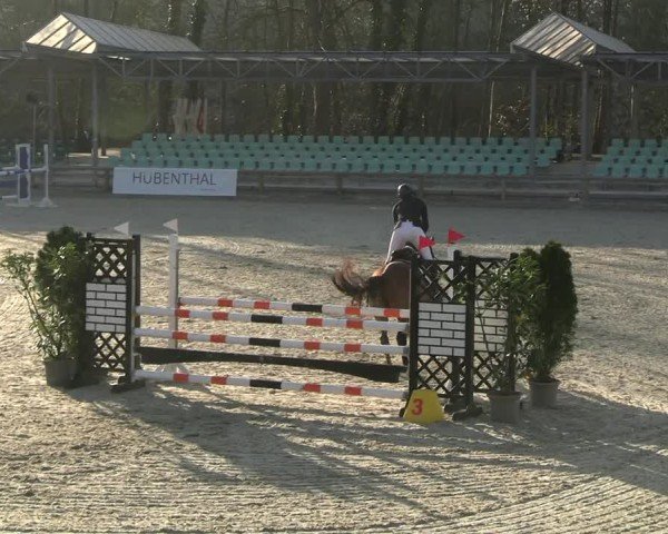 Reitturnier Balve-Wocklum 2025