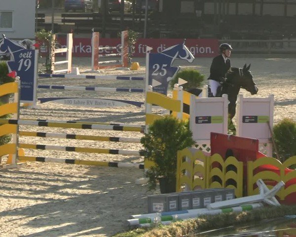 Reitturnier Balve-Wocklum 2025