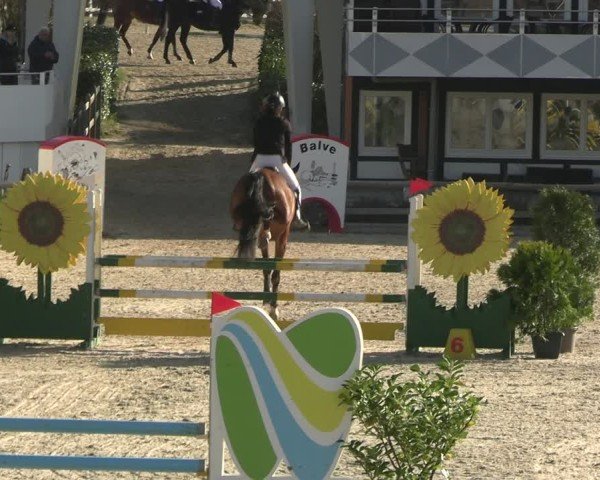 Reitturnier Balve-Wocklum 2025