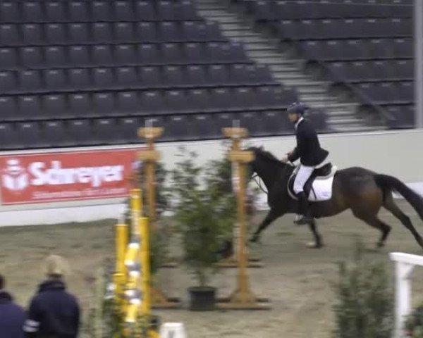 Jugend-Challenge 2013