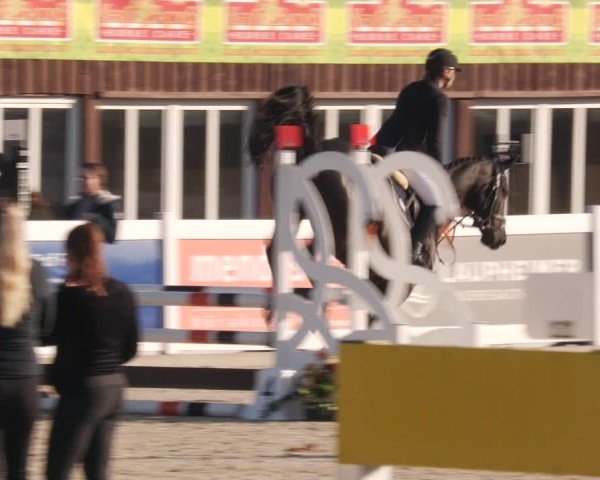 Reitturnier Memmingen 2025