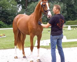 Dressurpferd Zarin Zackarina (Westfale, 2018, von Zoom)