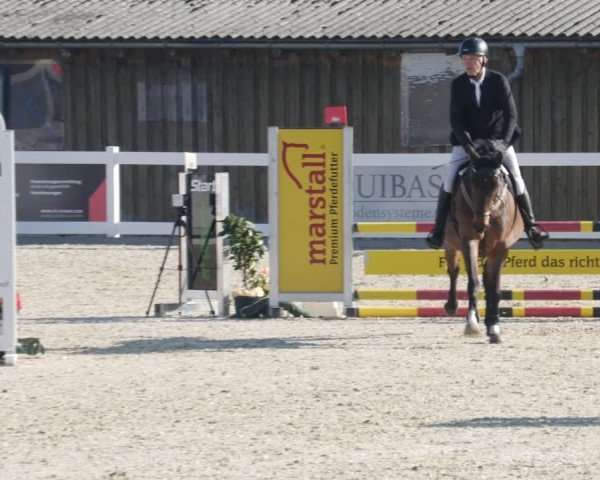 Reitturnier Memmingen 2025