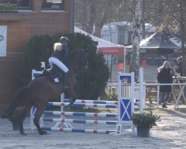 Reitturnier Richelsdorf 2025