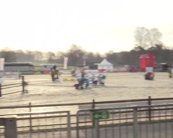 Reitturnier Westergellersen 2025