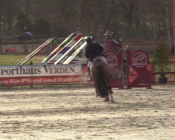 Reitturnier Westergellersen 2025