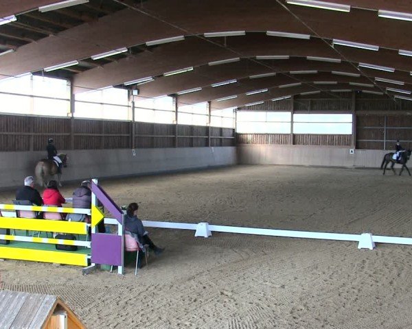 Reitturnier Marktredwitz 2025