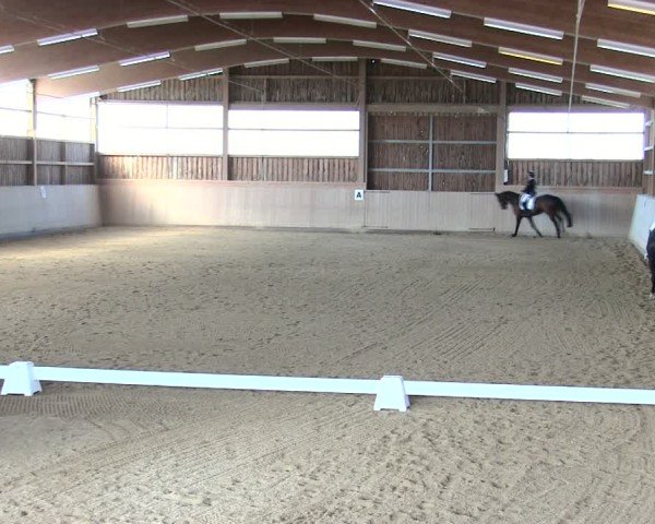 Reitturnier Marktredwitz 2025