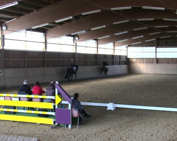 Reitturnier Marktredwitz 2025