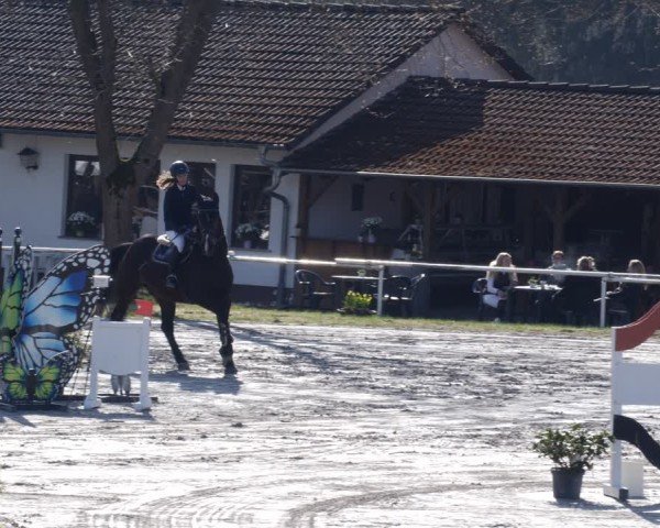 Reitturnier Richelsdorf 2025