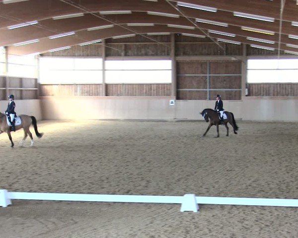 Reitturnier Marktredwitz 2025