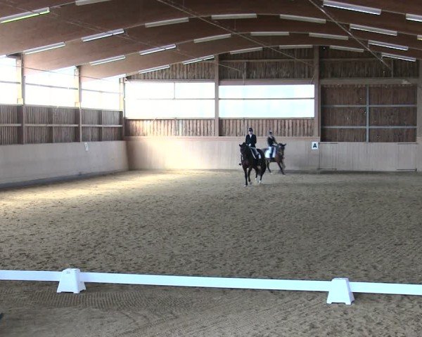 Reitturnier Marktredwitz 2025