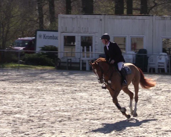 Reitturnier Pietzpuhl 2025
