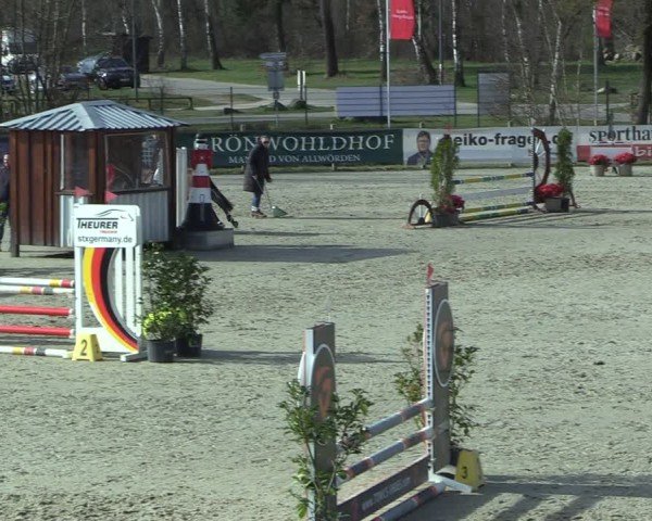 Reitturnier Westergellersen 2025