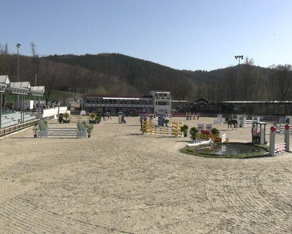 Reitturnier Balve-Wocklum 2025