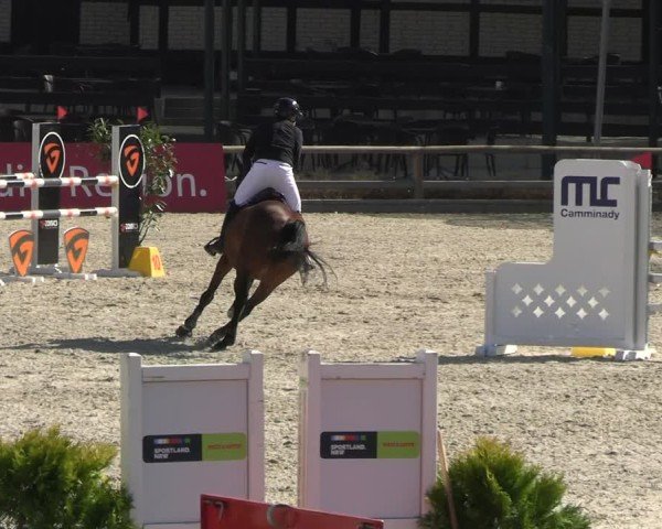 Reitturnier Balve-Wocklum 2025