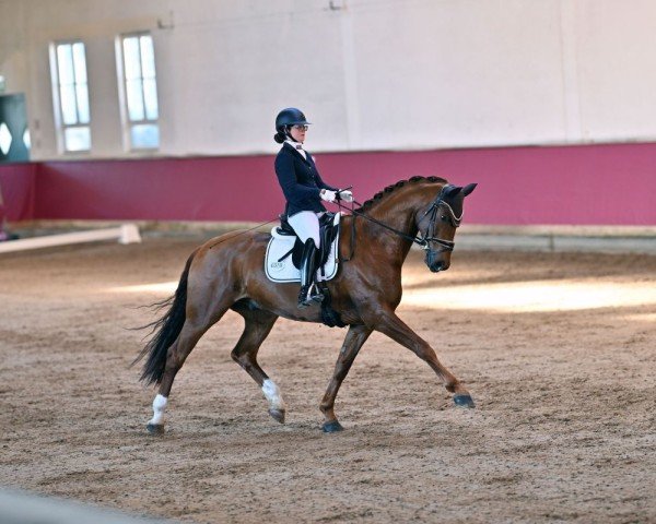 Corinna Rieger