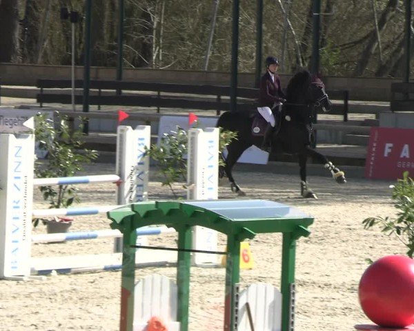 Reitturnier Balve-Wocklum 2025