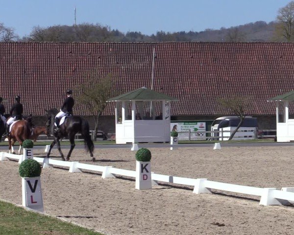Reitturnier Balve-Wocklum 2025