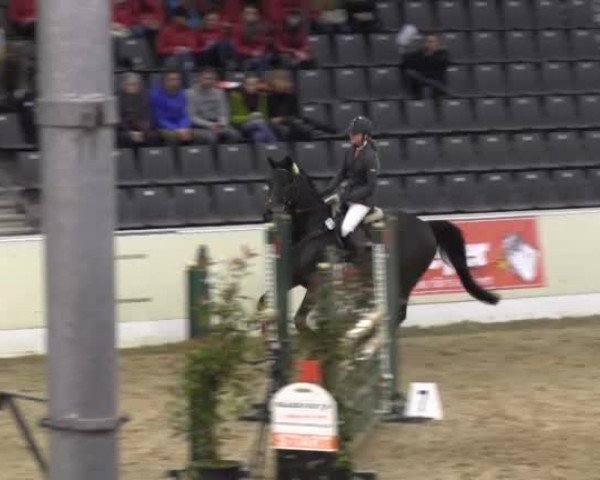 Jugend-Challenge 2013