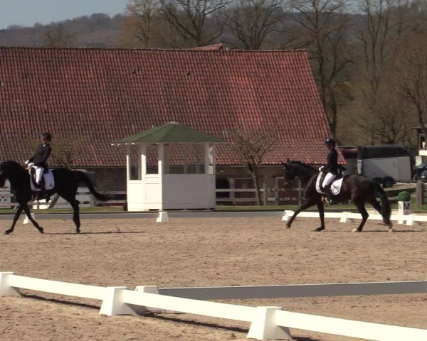 Reitturnier Balve-Wocklum 2025