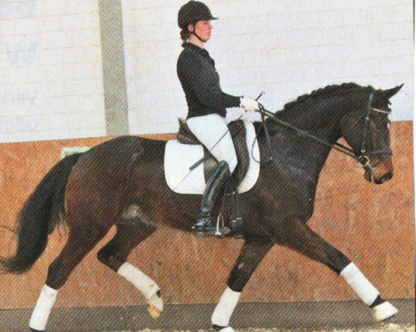 Springpferd Labur (Deutsches Sportpferd, 2008, von Lord Fantastic)