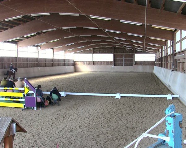 Reitturnier Marktredwitz 2025