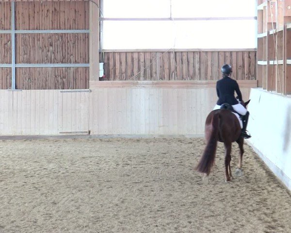 Reitturnier Marktredwitz 2025