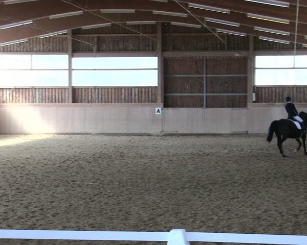 Reitturnier Marktredwitz 2025