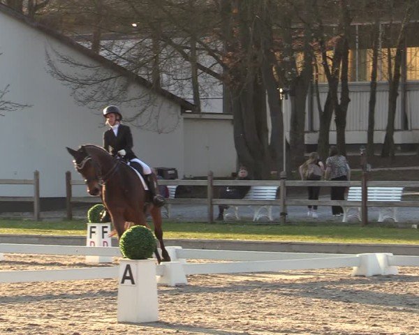 Reitturnier Balve-Wocklum 2025